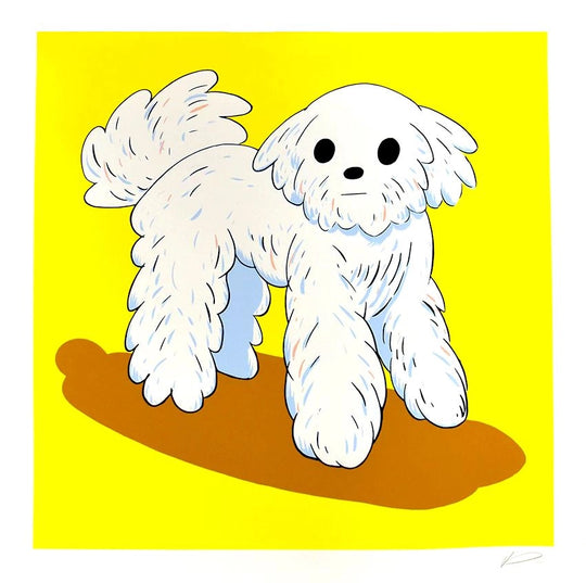 Takeru Amano The Dog